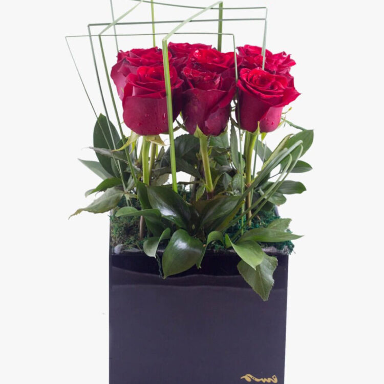 10 Red Rose Vase